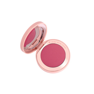 Blush Bisou & Cream Blush brush bundel